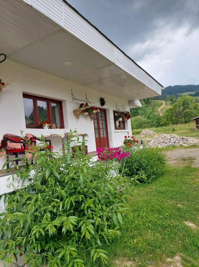 Апартаменты Casa Rodica Ватра-Дорней Экстерьер фото